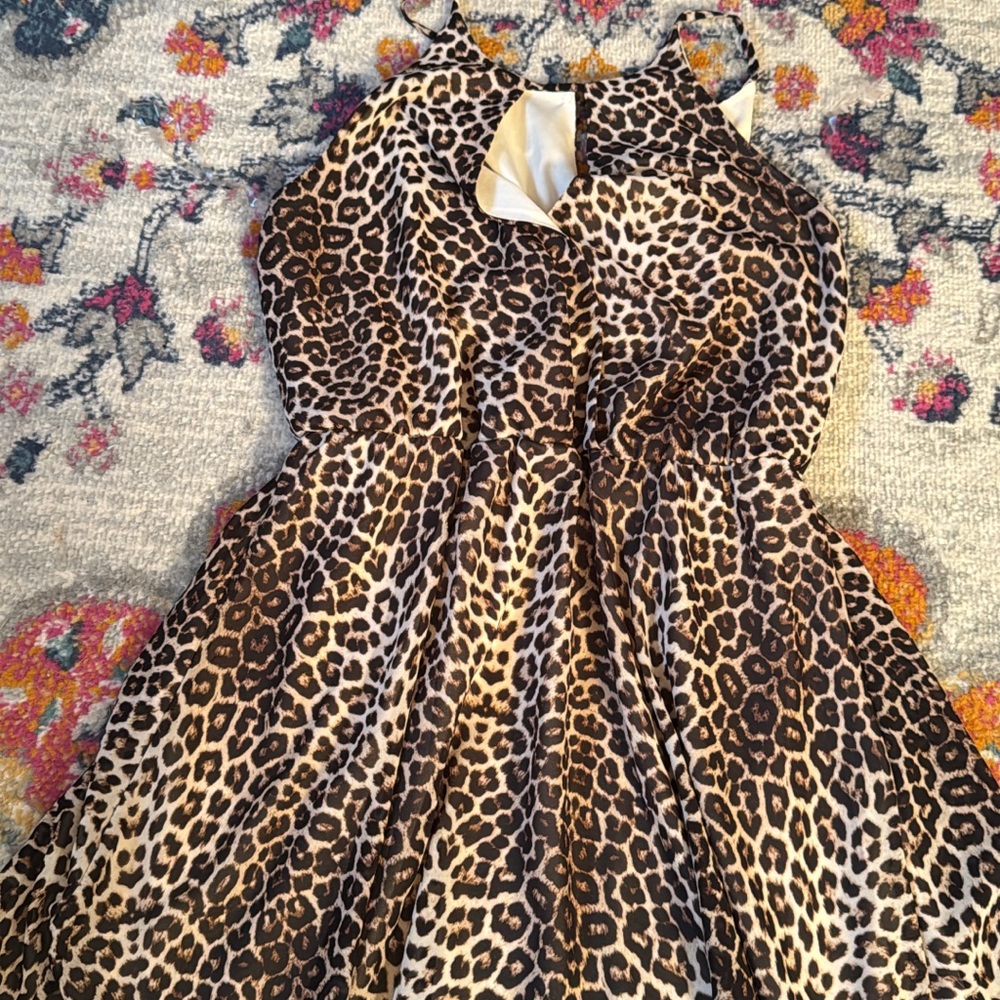 Leopard Print Dress